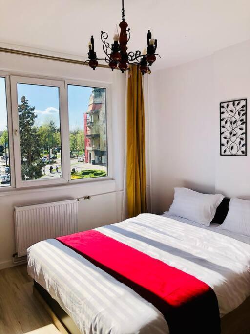 Joy City Stay Victoriei 7G-9 Timişoara Exterior foto